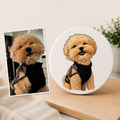 Custom pet photo transformed into a cartoon portrait on a round acrylic display, personalized pet gift